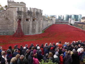 London Poppies