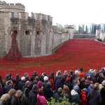 London Poppies